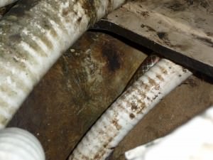 WbW3 Where the leak can be seen from inside underneath the engine.
