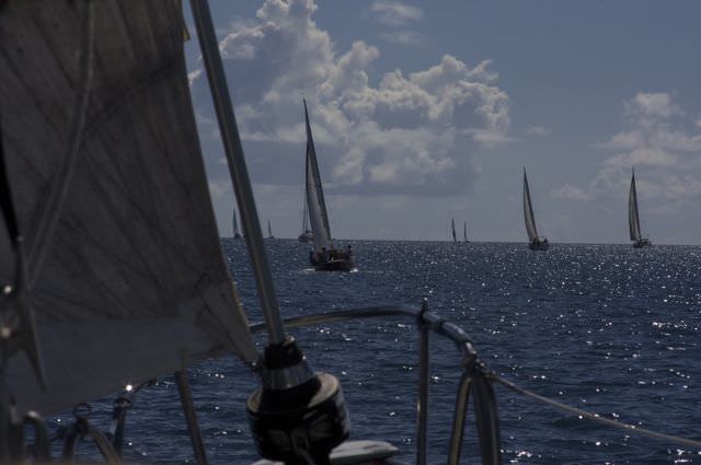 sailing race