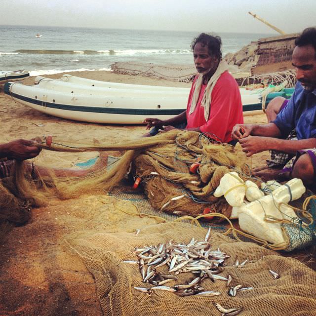 The local catches in Varkala were frighteningly insignificant. Most fishermen I spoke with said catches had been even lower than the last few years.