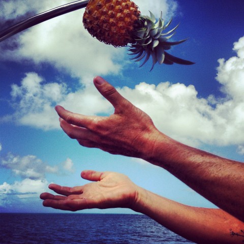 Happy Earth Day!! Our planet provides for us daily--food, air, and water. Give back to her by eating a little more Earth-friendly today! Here, organic pineapple...often organic fruit and veg options are smaller in size than non-organics, but they taste so much better! Be wary of over-sized or 'too perfect' looking foods!