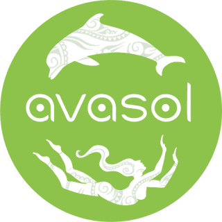 avasol-logo-color